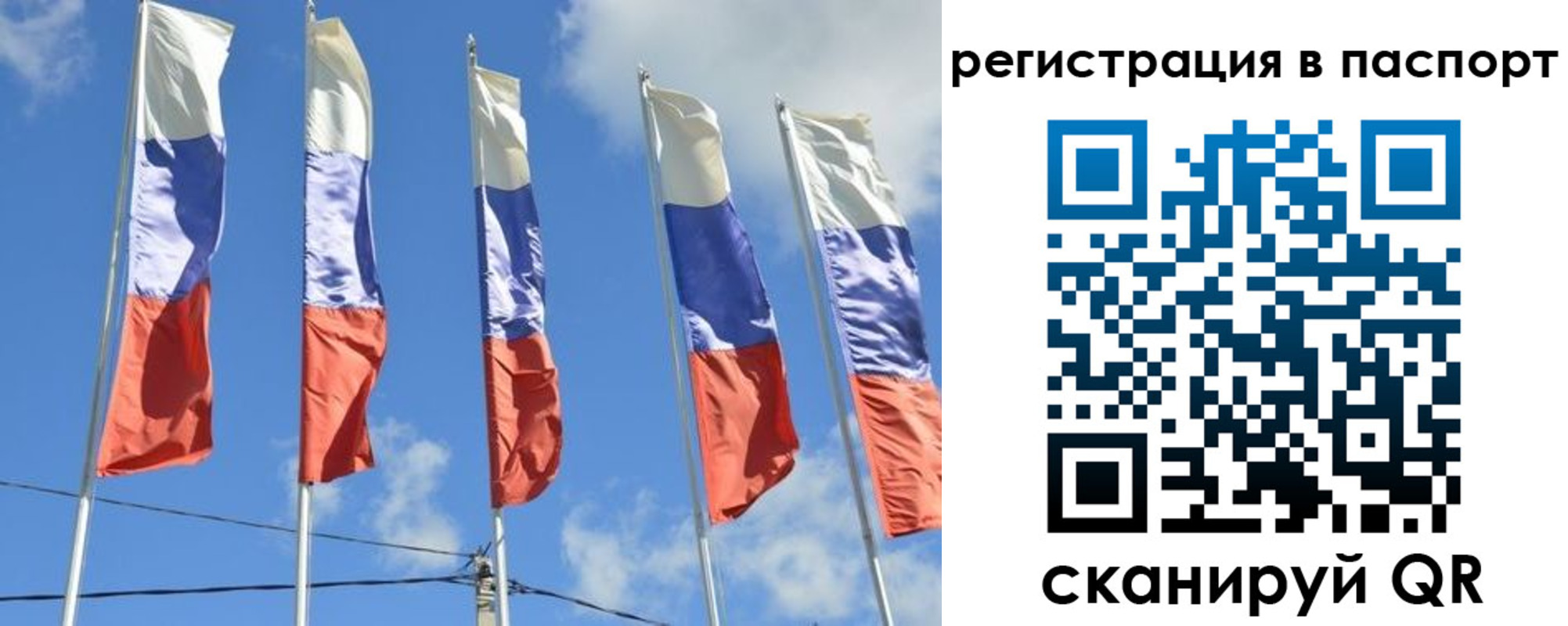 форма 3 в Светлогорске